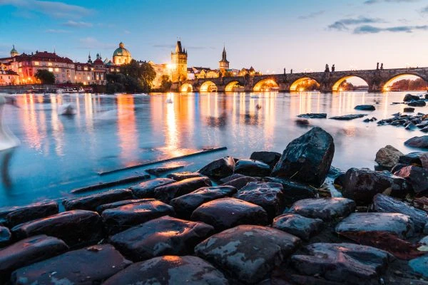 月季花开的秘密：一位植物学家的浪漫与科学