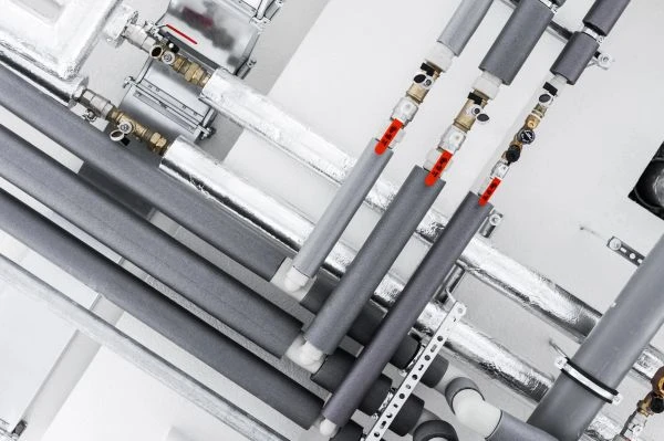 蟹和龙虾的故事:一场关于成长与蜕变的生命启示录