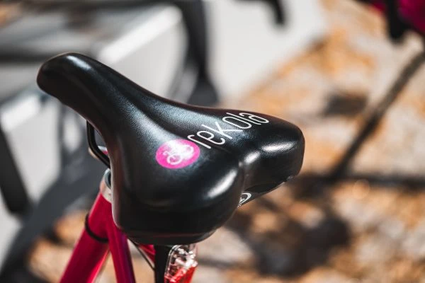 《画眉:一场关于自由与囚禁的灵魂拷问》