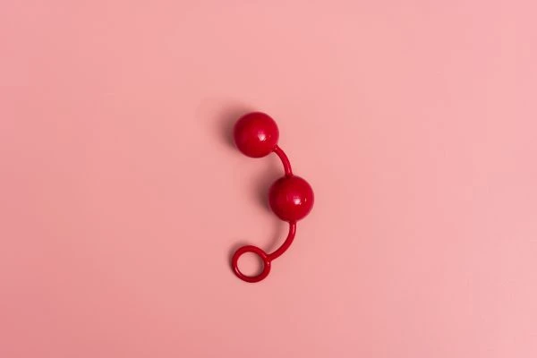 《山雀故事:在微小生命里窥见宇宙的慈悲与智慧》