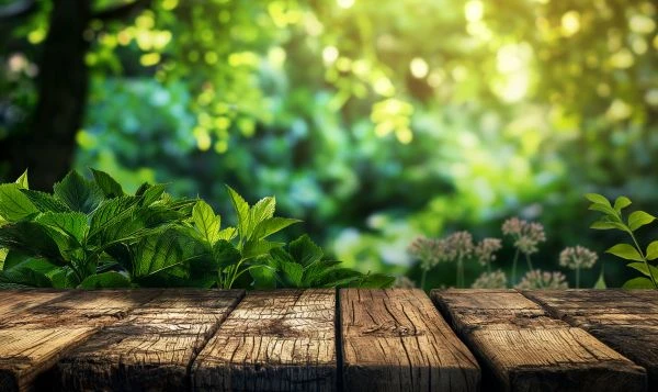 东施效颦:当盲目模仿成为一场荒诞的自我迷失