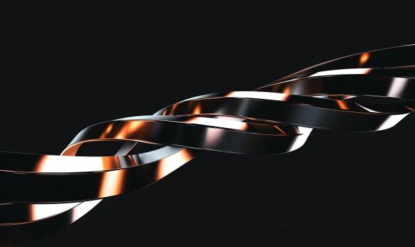 石竹花的芬芳:从民间传说到心灵治愈的永恒魅力