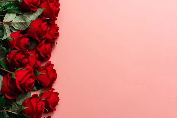 《35本改变人生的故事书：当文字成为灵魂的解药》