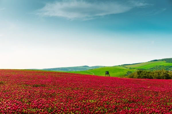 《35本改变人生的故事书：当文字成为灵魂的解药》