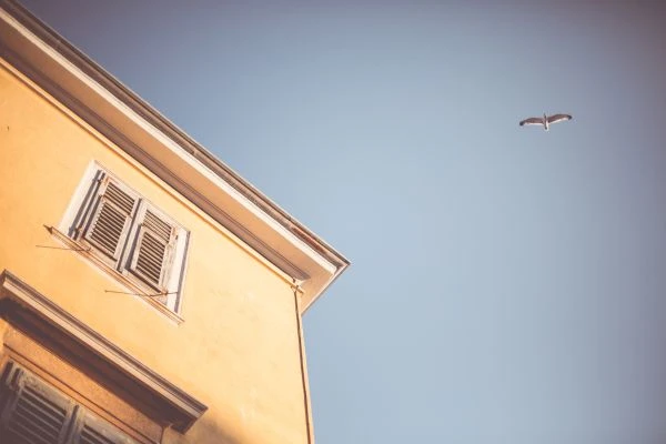 春水微澜：当生命在平凡中绽放永恒的诗意