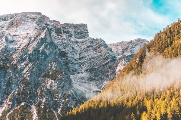 姜子牙钓鱼:一场等待与机遇的千年智慧启示