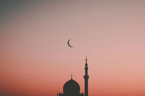 《棋盘上的生命博弈:象棋棋手的故事如何映照人生智慧》