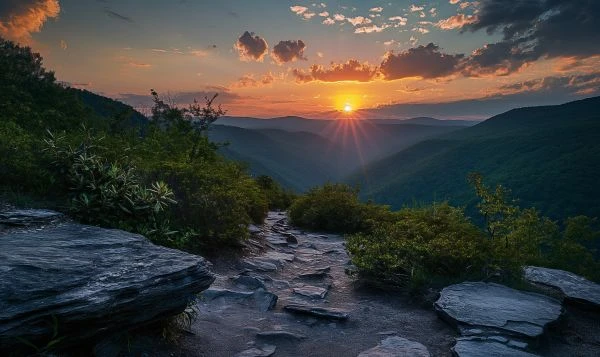 《这个家的故事读后感：在平凡屋檐下发现生命的诗意与坚韧》