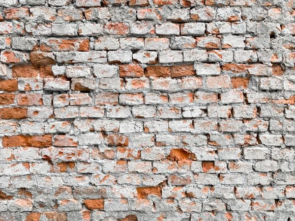 《那些藏在字里行间的女性力量：当故事成为灵魂的镜子》