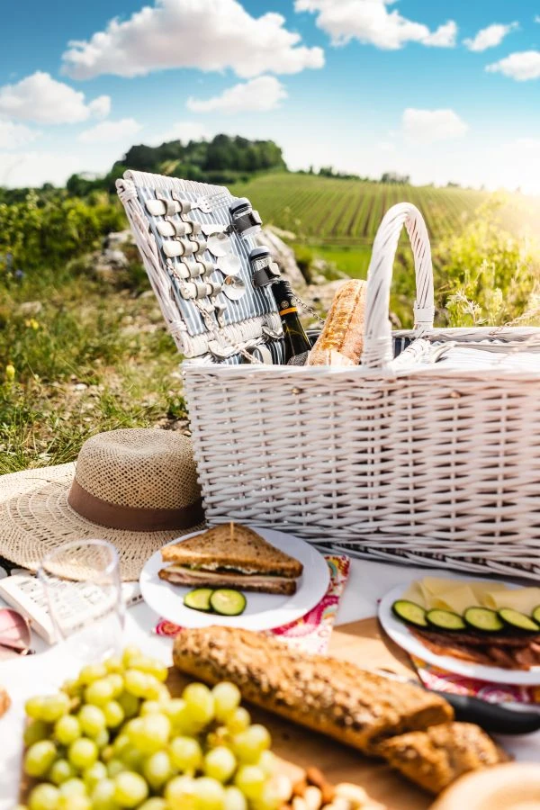 善循环的故事：当善意成为改变世界的涟漪