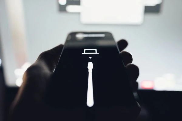 屠夫与狼的寓言:一场关于人性与生存智慧的千年对话