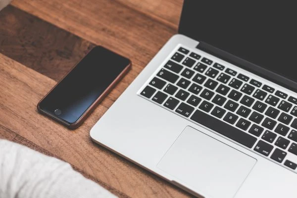 彩虹与冰山：一场关于生命韧性与脆弱的美学对话