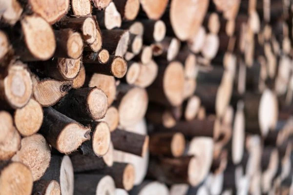 神秘屋故事：当恐惧成为照进现实的镜子