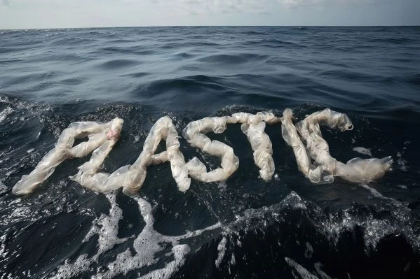 《鹿兔子的奇幻之旅:一场关于身份认同与自我超越的心灵对话》