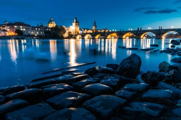 月季花开的秘密：一位植物学家的浪漫与科学