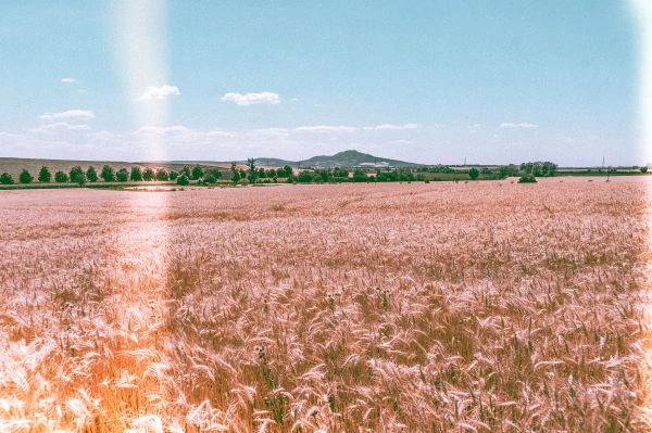 医者仁心：那些照亮医学之路的初心故事